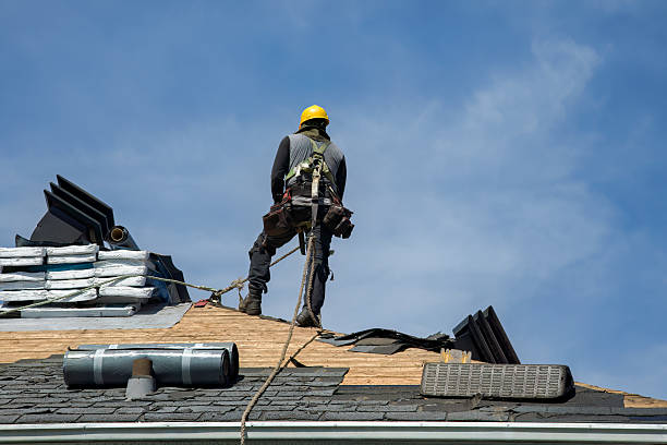 Professional Roofing technician working in Lucas, IA